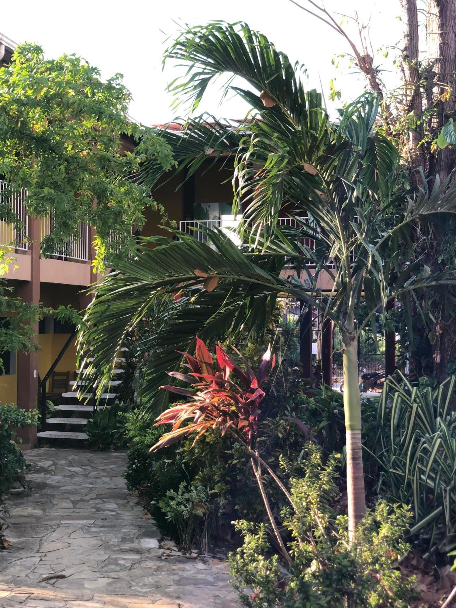 Hotel Santo Pozo Сан-Хуан-дель-Сур Экстерьер фото